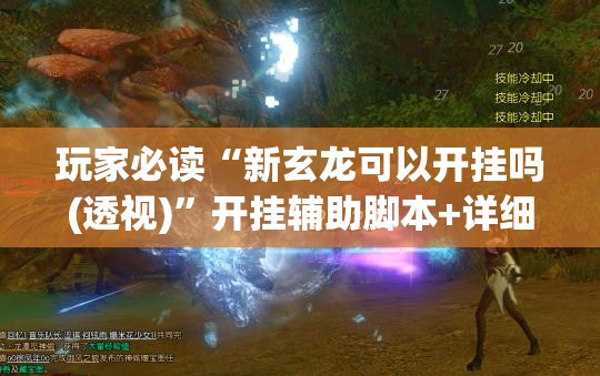 玩家必读“新玄龙可以开挂吗(透视)”开挂辅助脚本+详细开挂安装教程