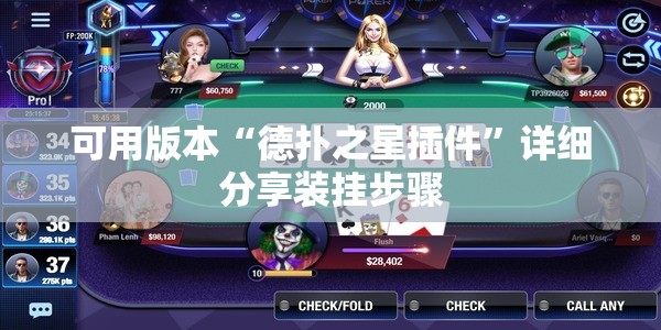 可用版本“德扑之星插件”详细分享装挂步骤