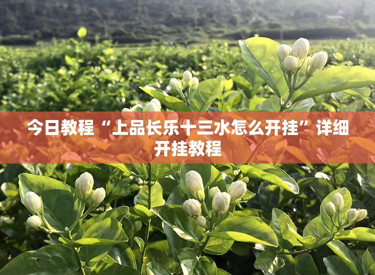 今日教程“上品长乐十三水怎么开挂”详细开挂教程