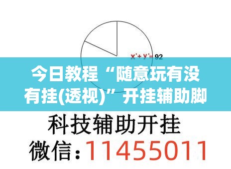 今日教程“随意玩有没有挂(透视)	”开挂辅助脚本+详细开挂安装教程