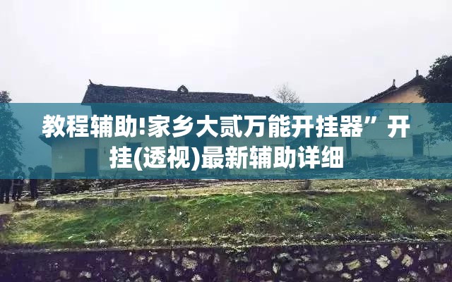 教程辅助!家乡大贰万能开挂器	”开挂(透视)最新辅助详细