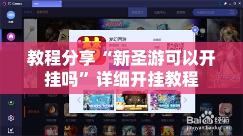 教程分享“新圣游可以开挂吗”详细开挂教程