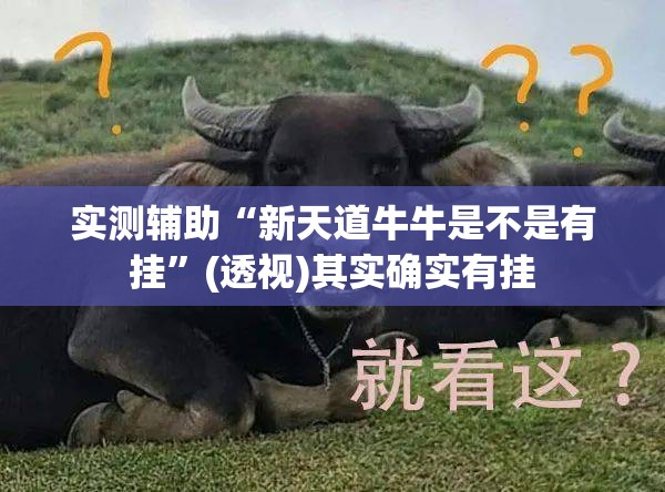 实测辅助“新天道牛牛是不是有挂	”(透视)其实确实有挂