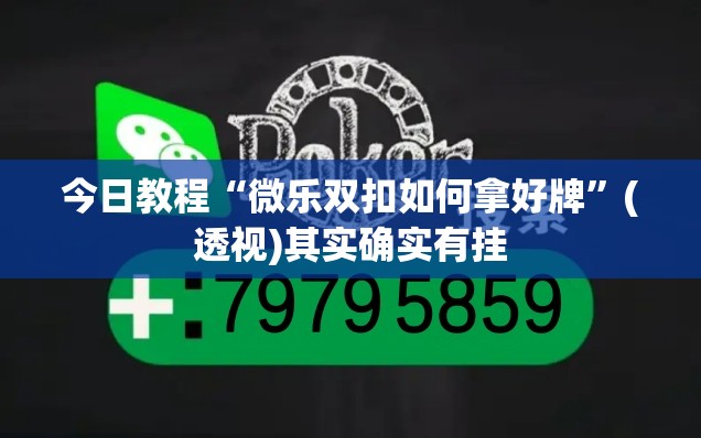 今日教程“微乐双扣如何拿好牌	”(透视)其实确实有挂