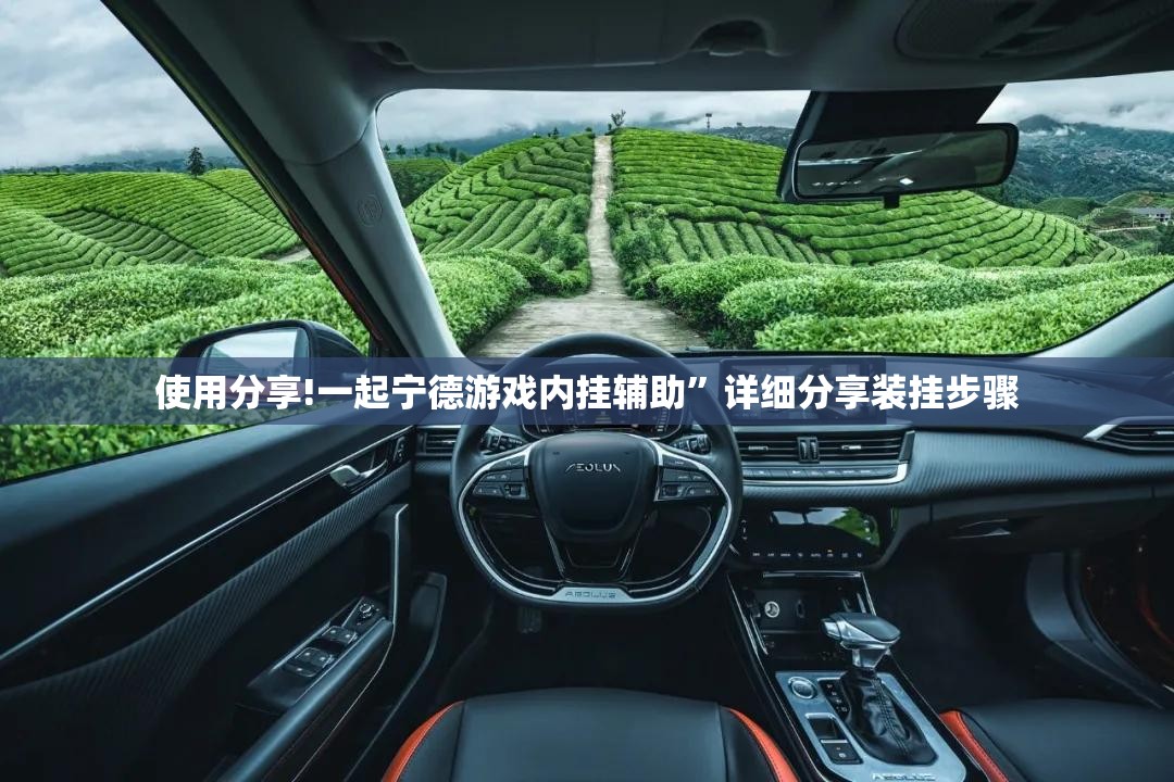 使用分享!一起宁德游戏内挂辅助”详细分享装挂步骤