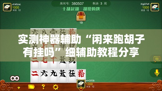 实测神器辅助“闲来跑胡子有挂吗”细辅助教程分享