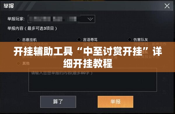 开挂辅助工具“中至讨赏开挂	”详细开挂教程
