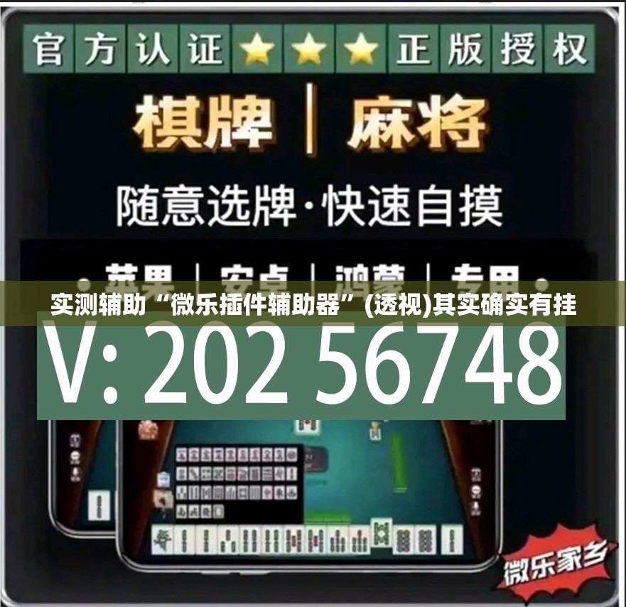 实测辅助“微乐插件辅助器”(透视)其实确实有挂
