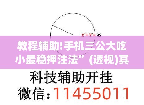 教程辅助!手机三公大吃小最稳押注法”(透视)其实确实有挂