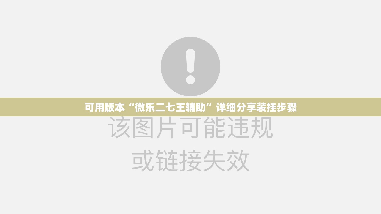 可用版本“微乐二七王辅助”详细分享装挂步骤