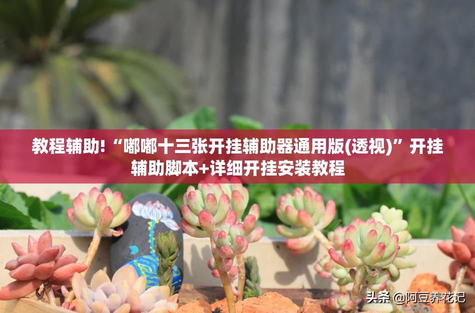 教程辅助!“嘟嘟十三张开挂辅助器通用版(透视)”开挂辅助脚本+详细开挂安装教程
