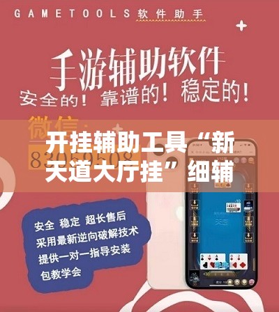 开挂辅助工具“新天道大厅挂”细辅助教程分享