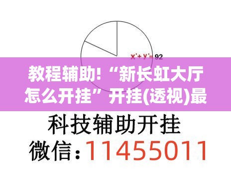 教程辅助!“新长虹大厅怎么开挂”开挂(透视)最新辅助详细