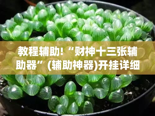 教程辅助!“财神十三张辅助器”(辅助神器)开挂详细教程