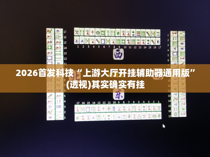 2026首发科技“上游大厅开挂辅助器通用版	”(透视)其实确实有挂