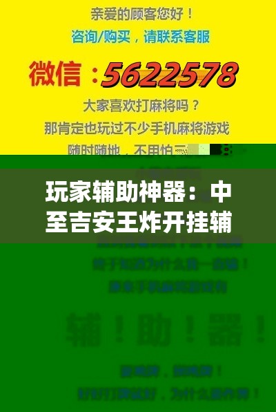 玩家辅助神器：中至吉安王炸开挂辅助器通用版(透视)”开挂辅助脚本+详细开挂安装教程