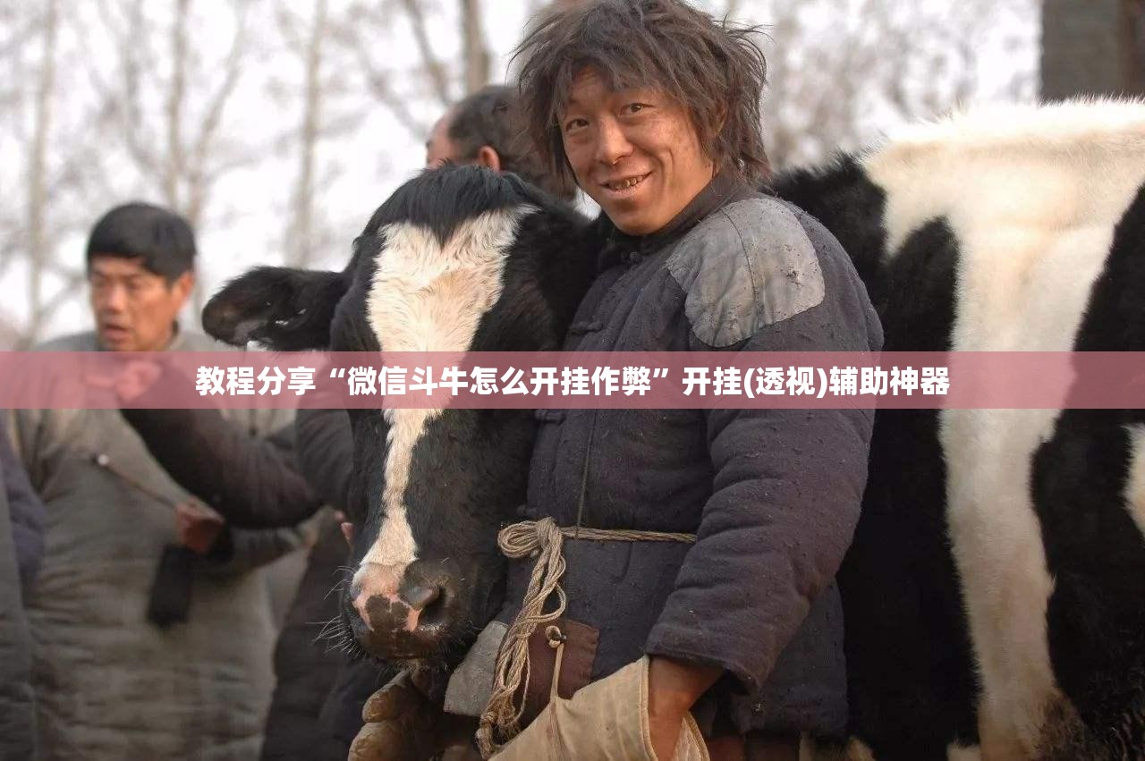 教程分享“微信斗牛怎么开挂作弊	”开挂(透视)辅助神器