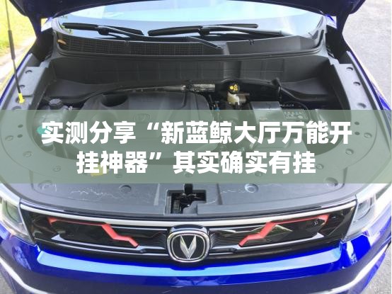 实测分享“新蓝鲸大厅万能开挂神器”其实确实有挂