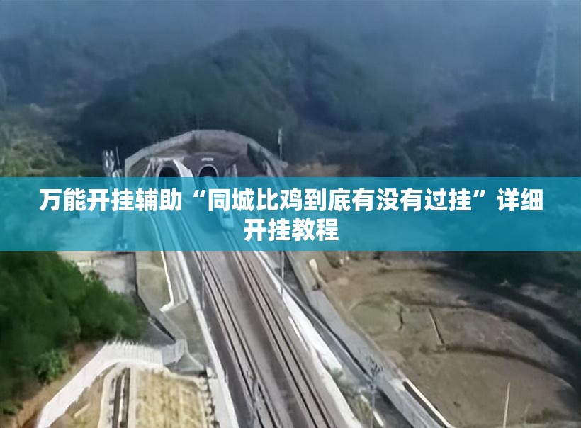 万能开挂辅助“同城比鸡到底有没有过挂	”详细开挂教程