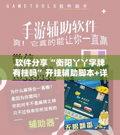 软件分享“衡阳丫丫字牌有挂吗”开挂辅助脚本+详细开挂安装教程