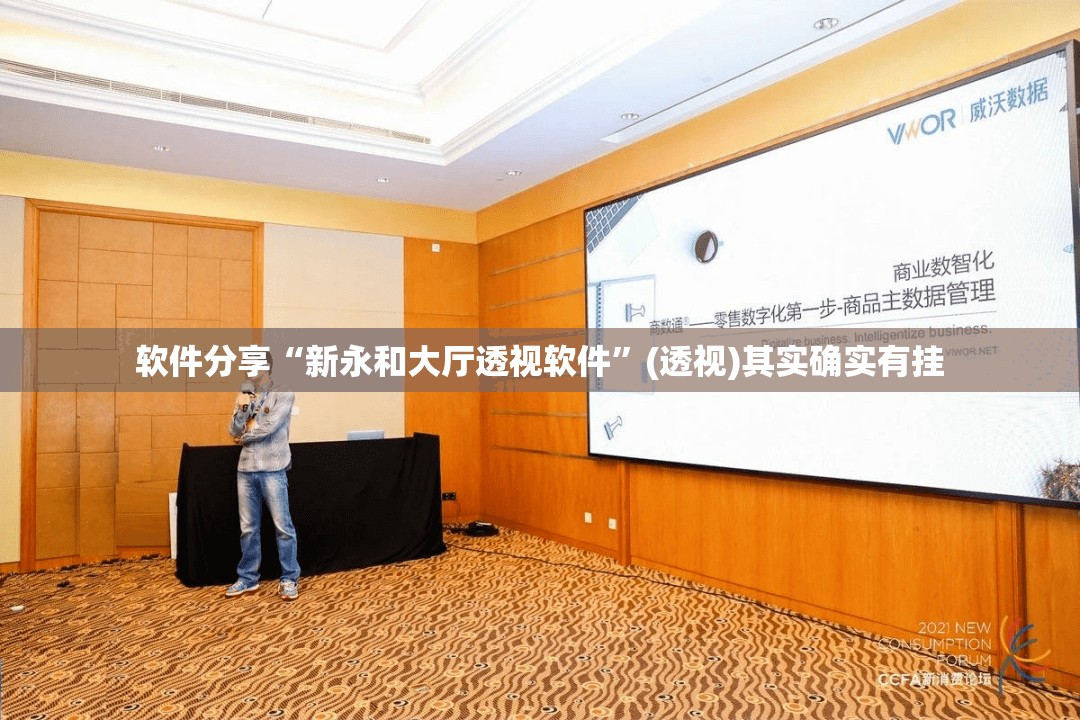 软件分享“新永和大厅透视软件”(透视)其实确实有挂