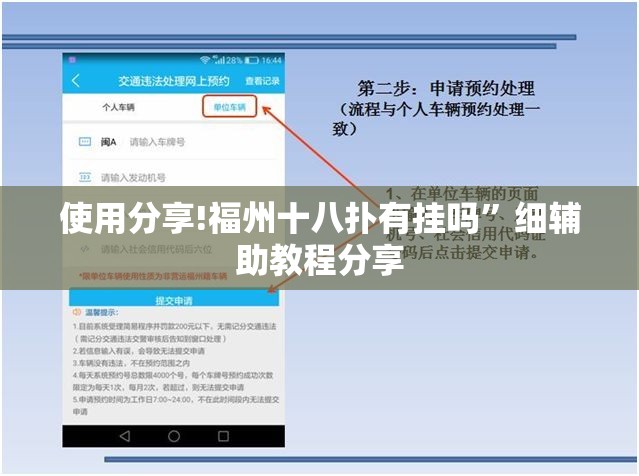 使用分享!福州十八扑有挂吗”细辅助教程分享