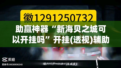 助赢神器“新海贝之城可以开挂吗”开挂(透视)辅助教程