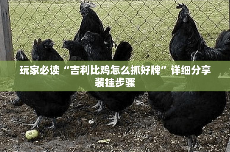 玩家必读“吉利比鸡怎么抓好牌”详细分享装挂步骤