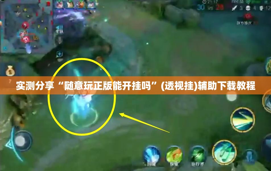实测分享“随意玩正版能开挂吗”(透视挂)辅助下载教程