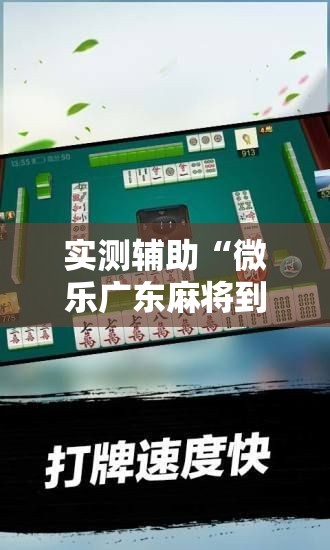 实测辅助“微乐广东麻将到底有没有挂”详细分享装挂步骤