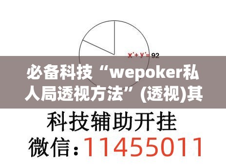 必备科技“wepoker私人局透视方法	”(透视)其实确实有挂
