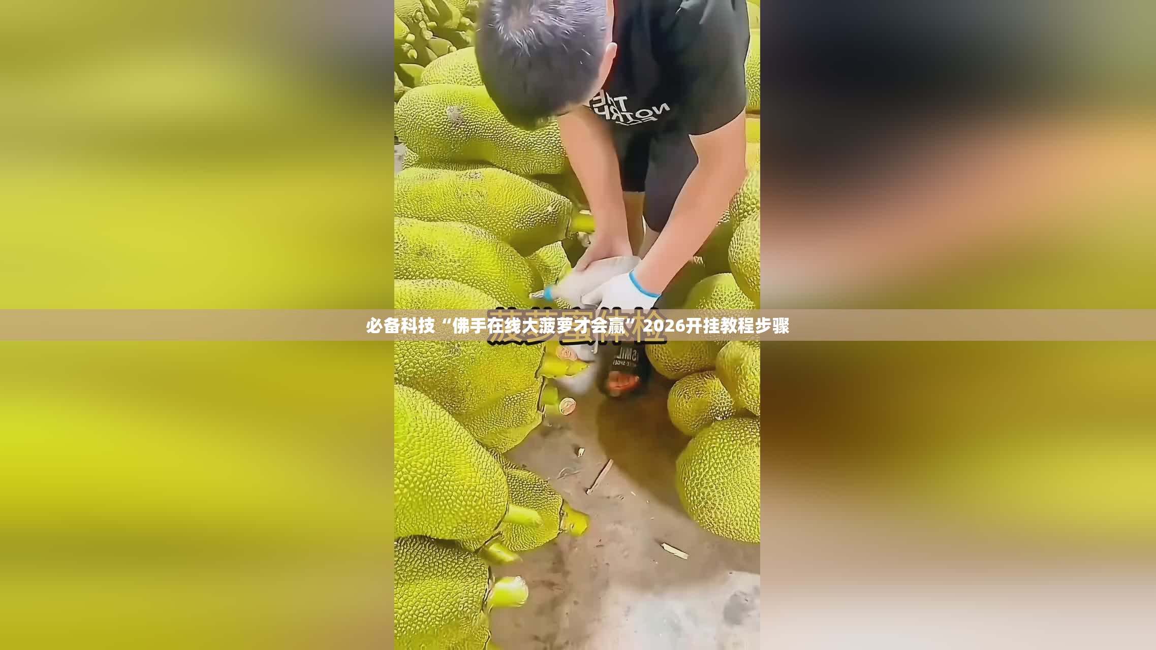 必备科技“佛手在线大菠萝才会赢”2026开挂教程步骤