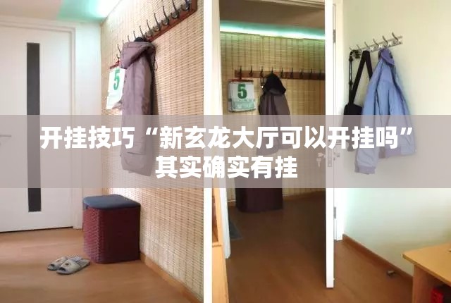 开挂技巧“新玄龙大厅可以开挂吗”其实确实有挂