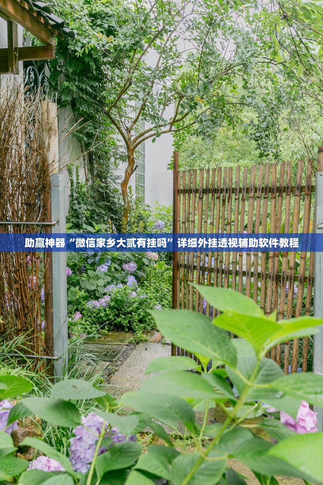 助赢神器“微信家乡大贰有挂吗”详细外挂透视辅助软件教程