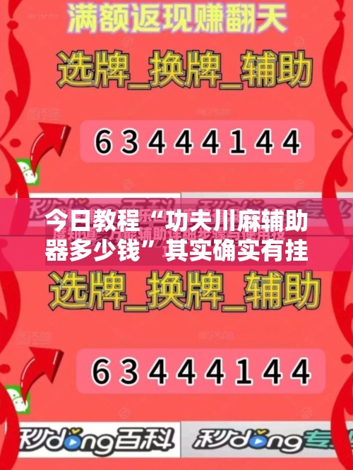 今日教程“功夫川麻辅助器多少钱”其实确实有挂