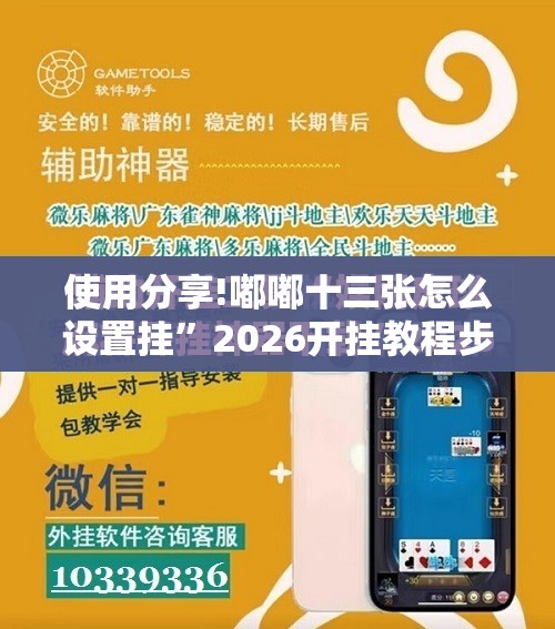 使用分享!嘟嘟十三张怎么设置挂”2026开挂教程步骤