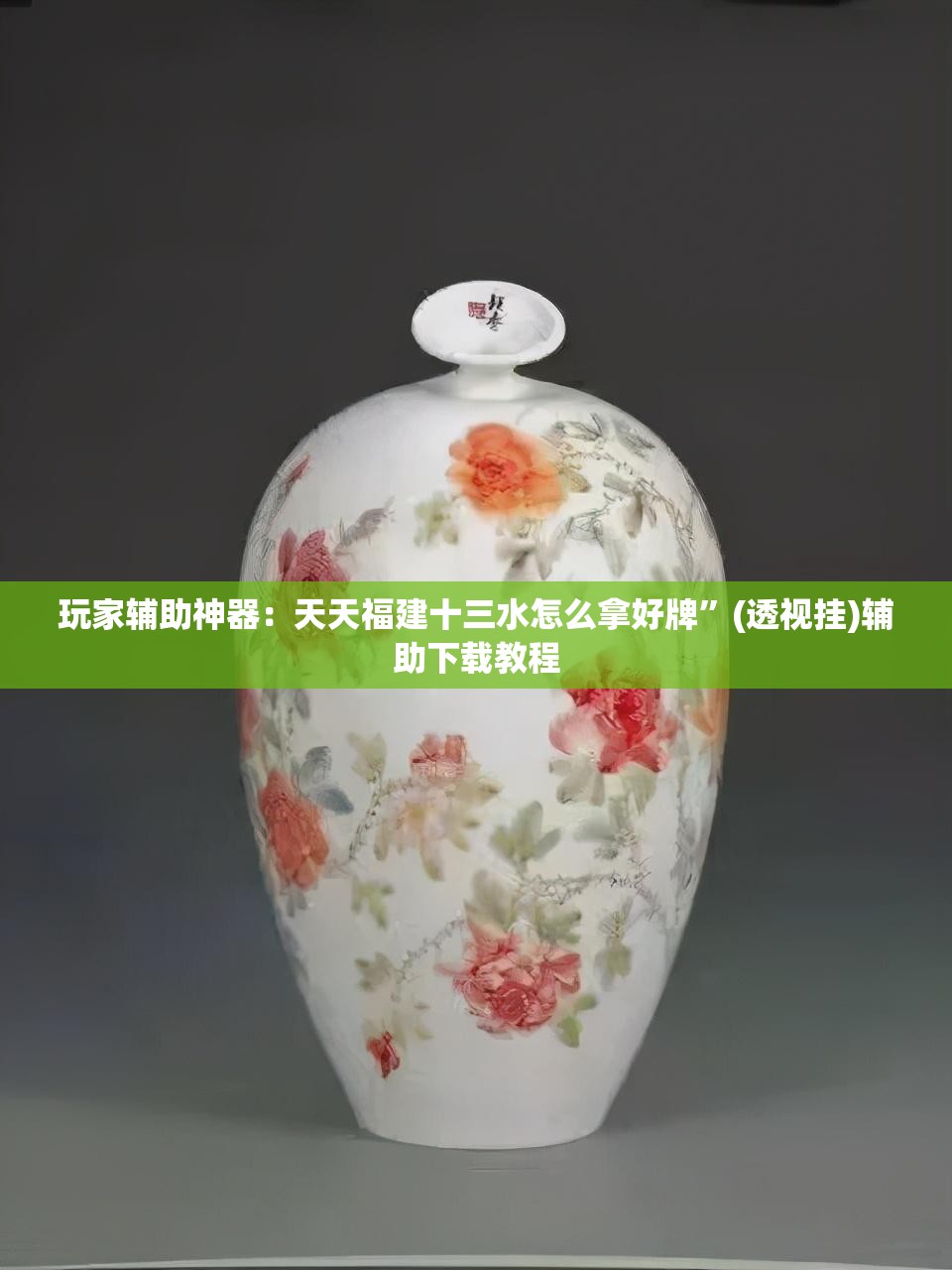 玩家辅助神器：天天福建十三水怎么拿好牌”(透视挂)辅助下载教程