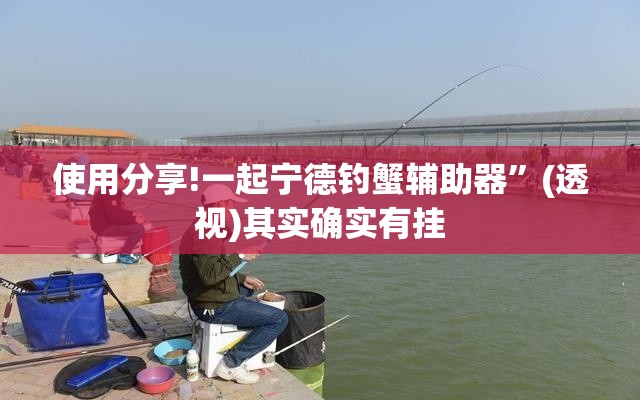 使用分享!一起宁德钓蟹辅助器	”(透视)其实确实有挂