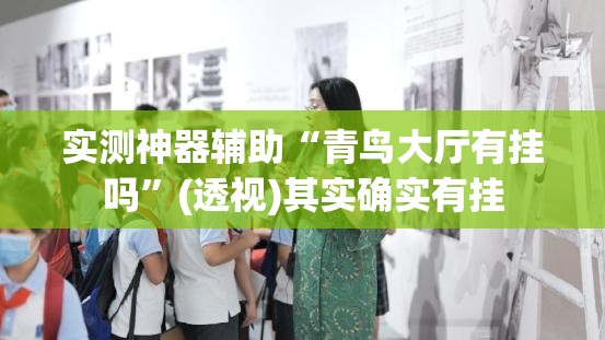 实测神器辅助“青鸟大厅有挂吗”(透视)其实确实有挂