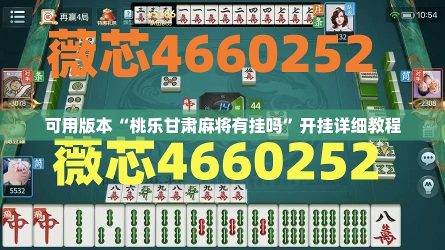 可用版本“桃乐甘肃麻将有挂吗”开挂详细教程