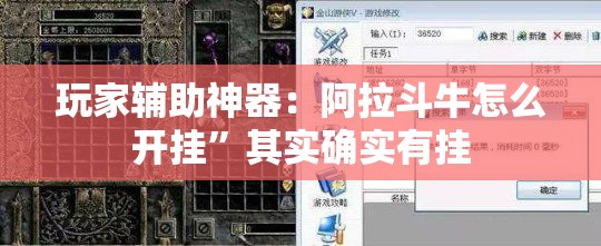 玩家辅助神器：阿拉斗牛怎么开挂	”其实确实有挂