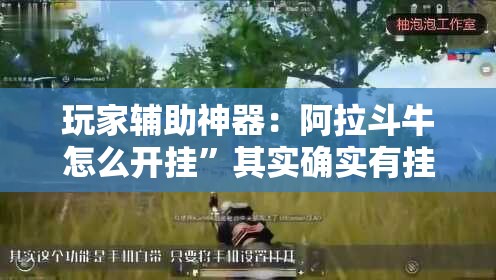 玩家辅助神器：阿拉斗牛怎么开挂”其实确实有挂