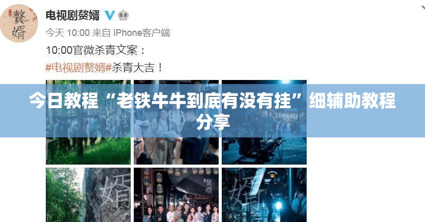 今日教程“老铁牛牛到底有没有挂”细辅助教程分享