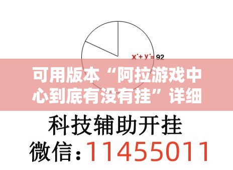 可用版本“阿拉游戏中心到底有没有挂”详细外挂透视辅助软件教程