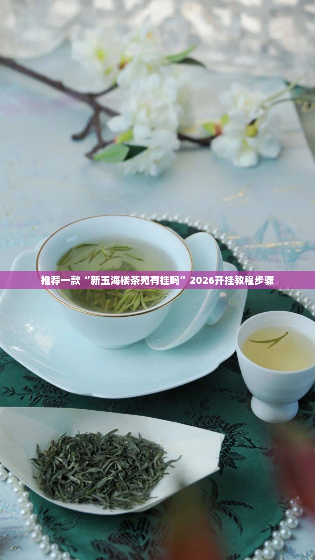 推荐一款“新玉海楼茶苑有挂吗”2026开挂教程步骤