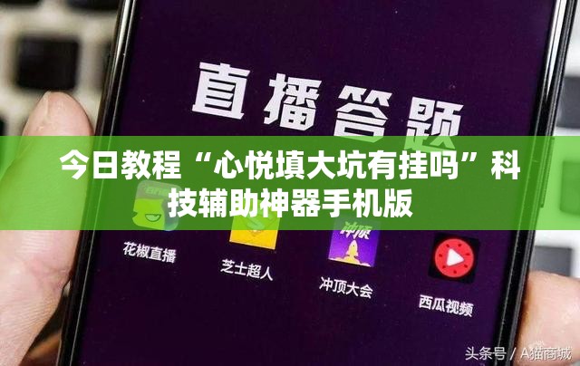 今日教程“心悦填大坑有挂吗”科技辅助神器手机版