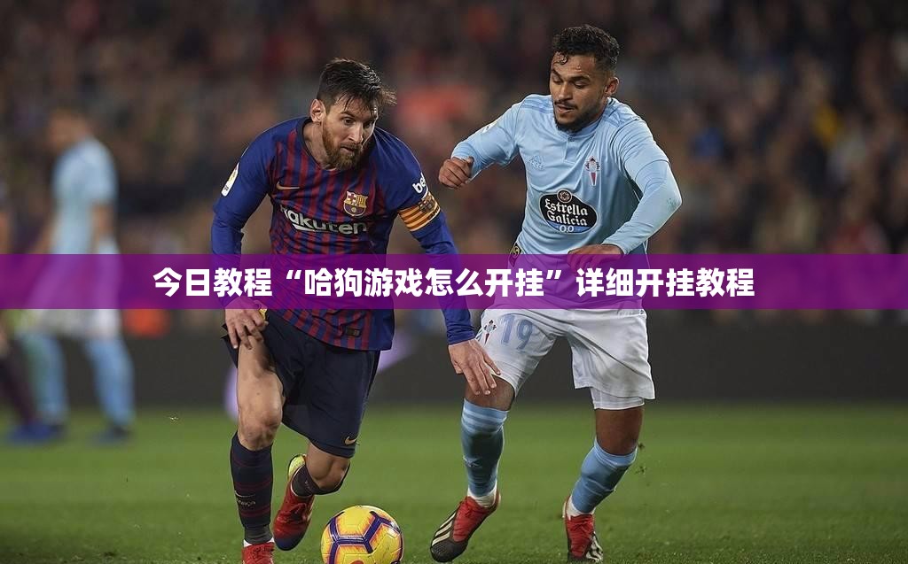 今日教程“哈狗游戏怎么开挂”详细开挂教程