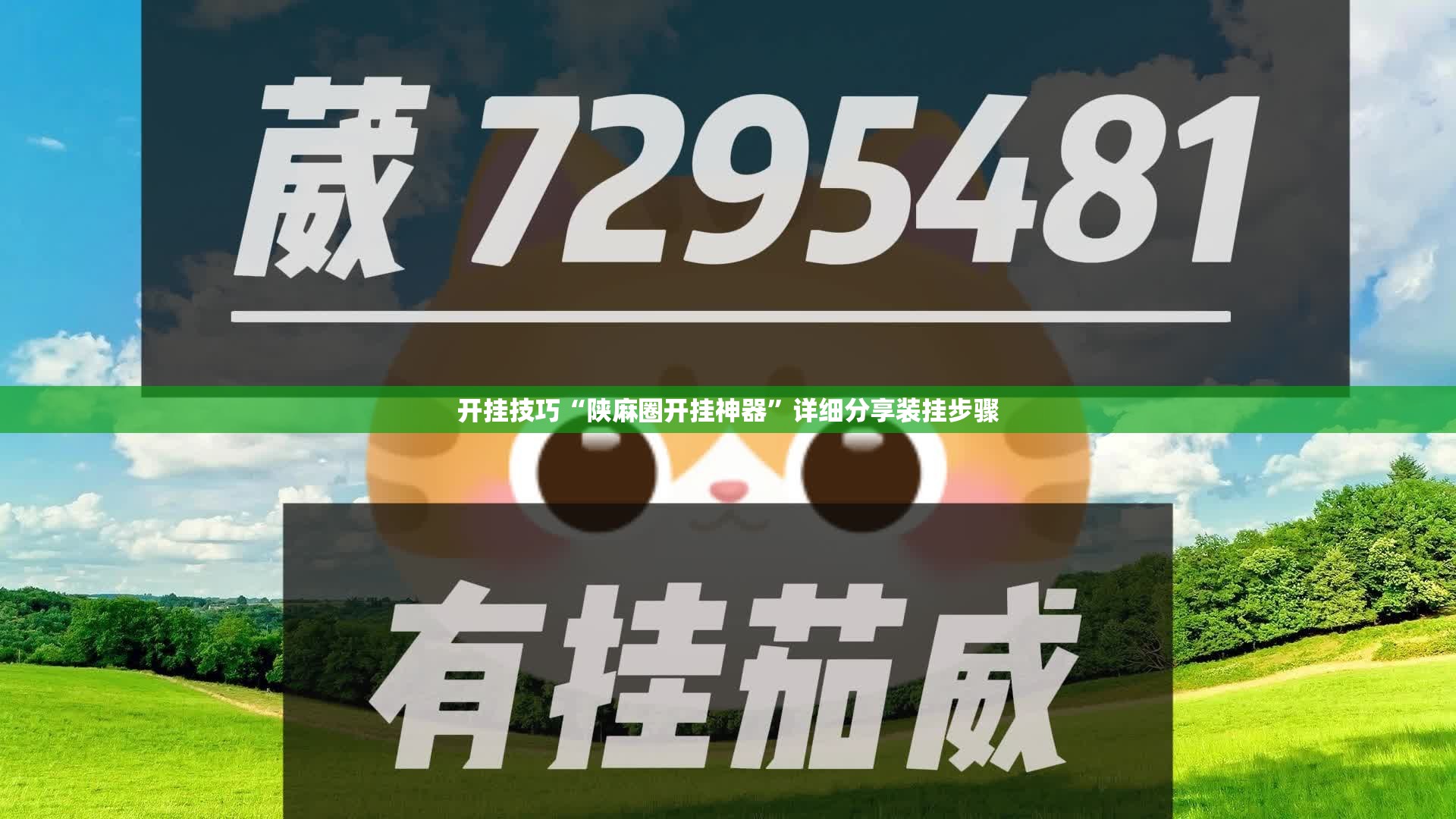 开挂技巧“陕麻圈开挂神器”详细分享装挂步骤