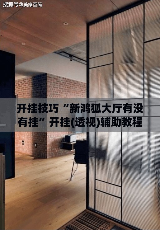 开挂技巧“新鸿狐大厅有没有挂”开挂(透视)辅助教程