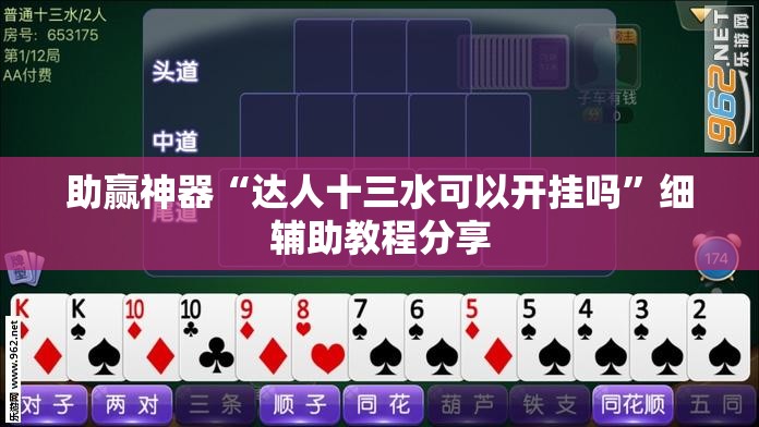 助赢神器“达人十三水可以开挂吗”细辅助教程分享